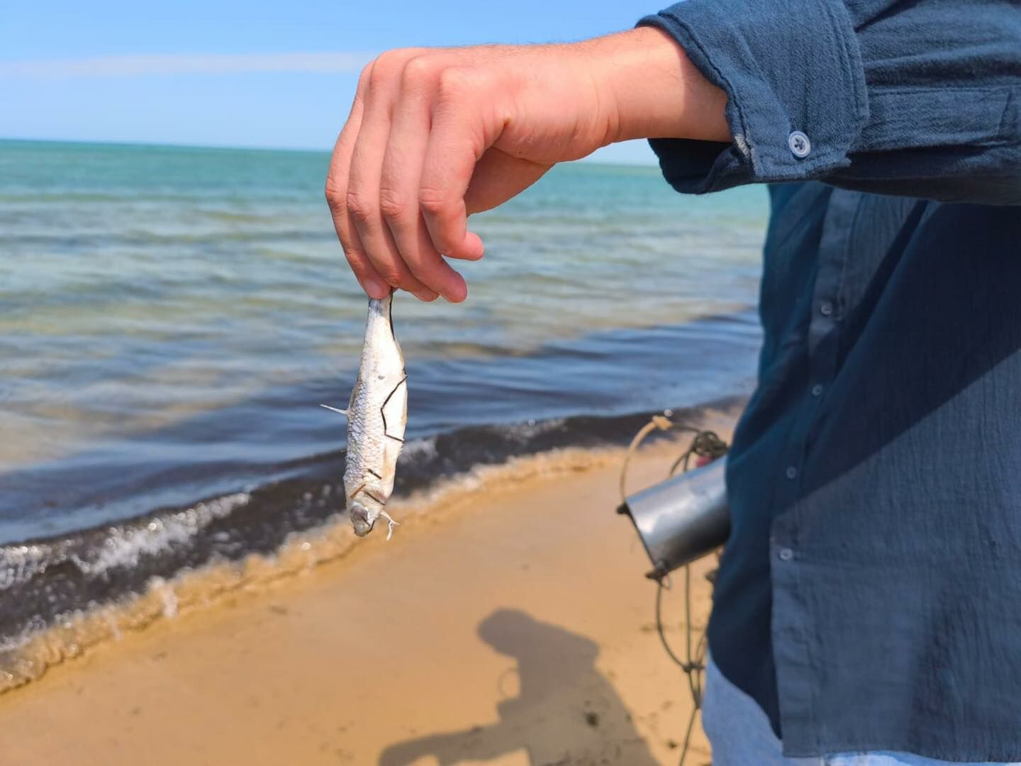 Виновата жара?