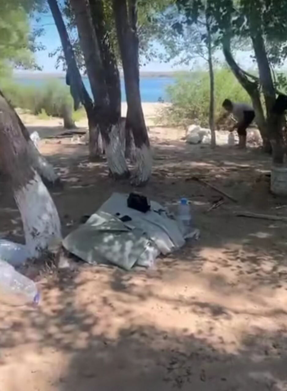 Руки прочь от зелени!