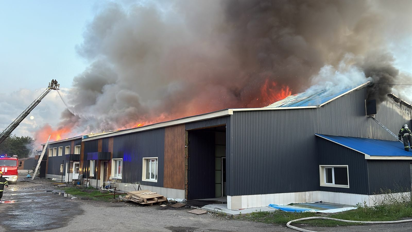 И в огне не горят