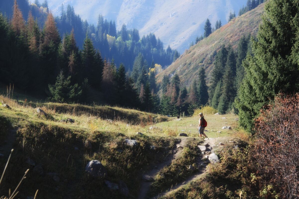 Вице-премьеры без отпусков, горы - под курорты