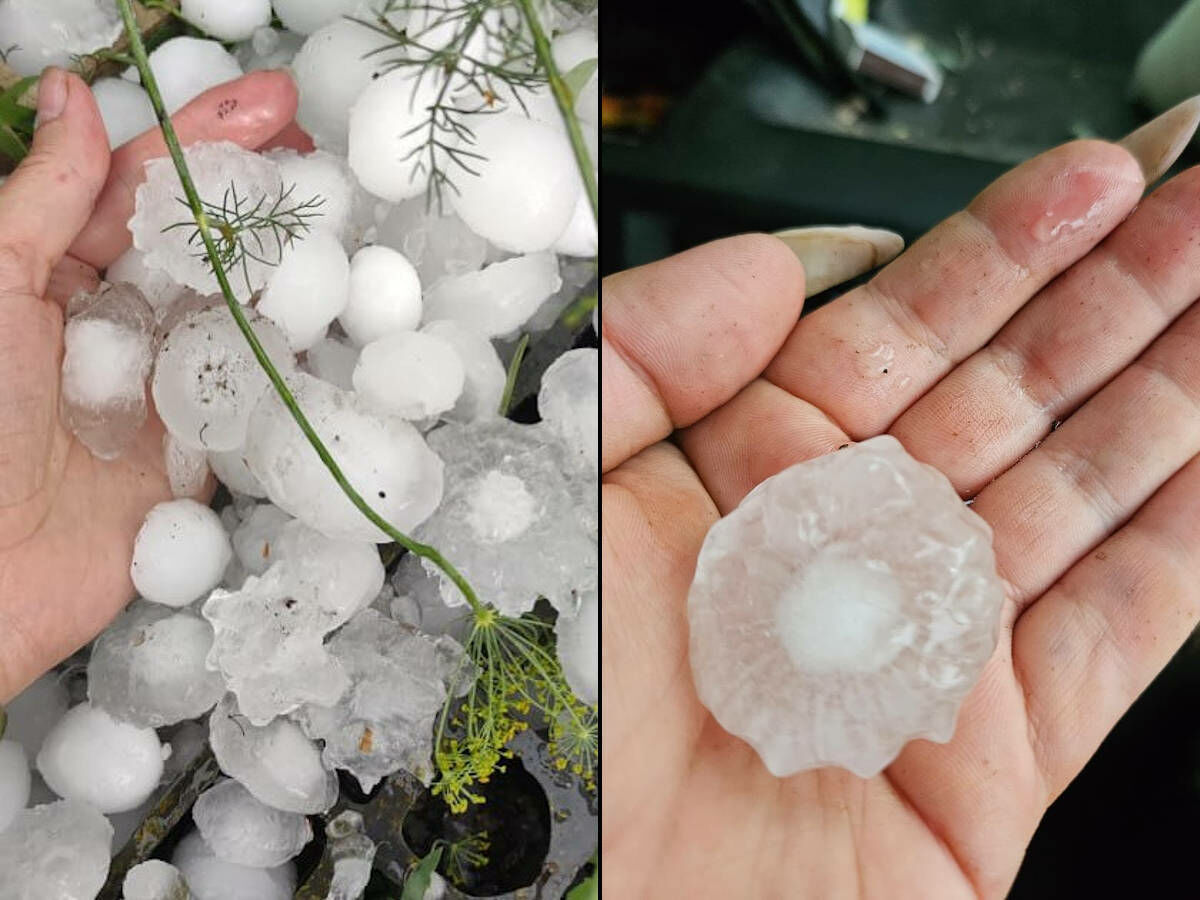 Знать бы, что упадет!