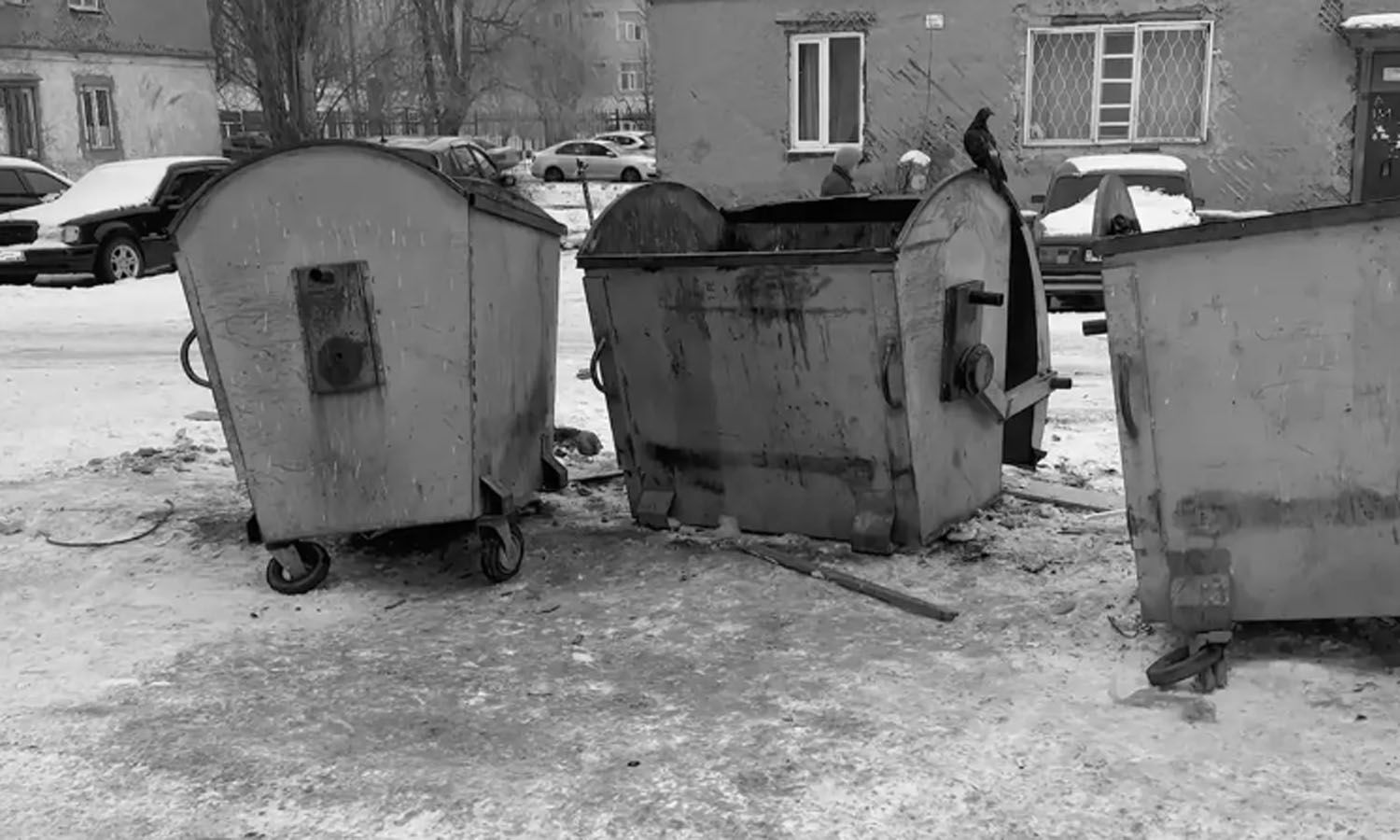 Расчлененное тело в мусорке