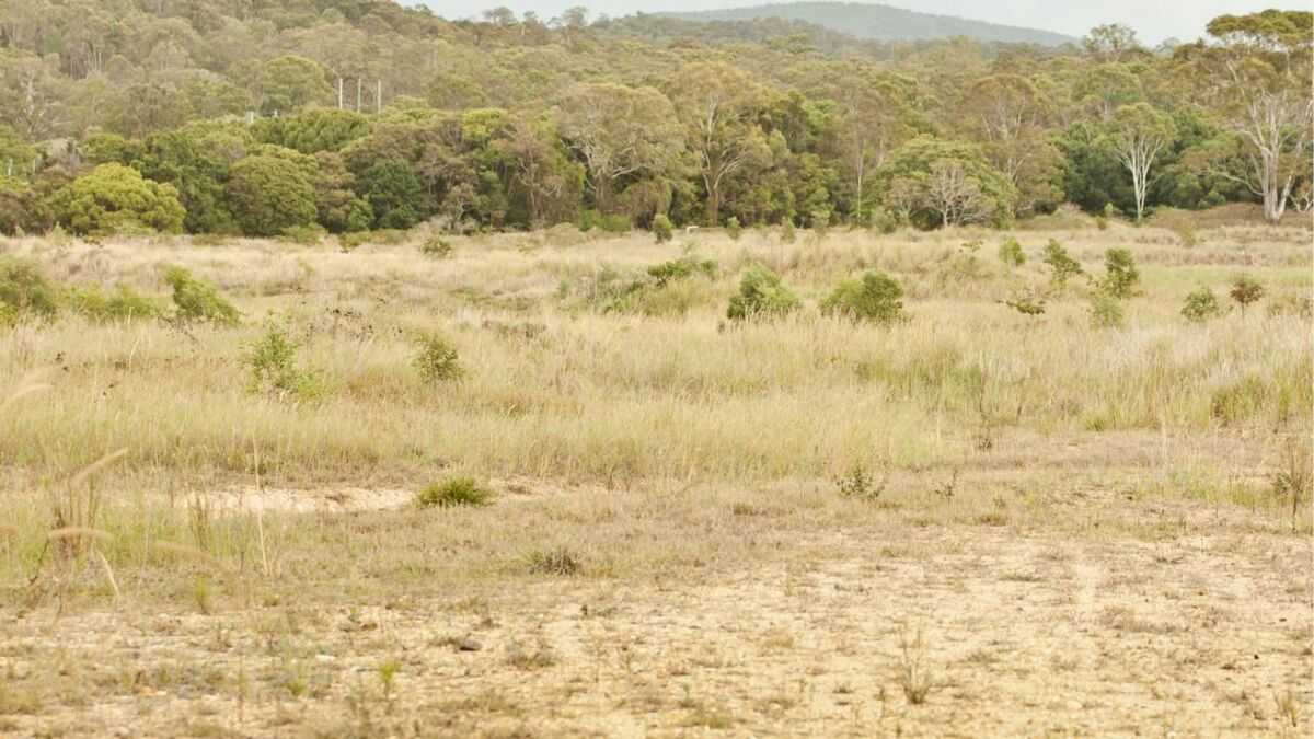 Не пашут, не сеют, не пасут