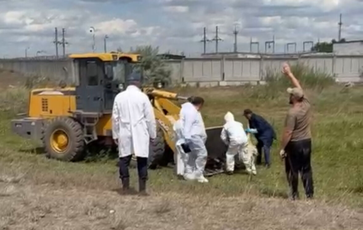 Загадка долинского пастбища