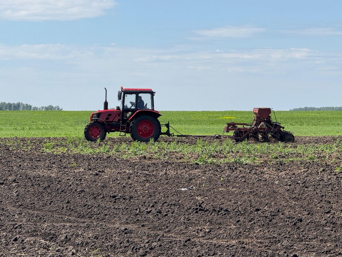 А пахать кто будет?