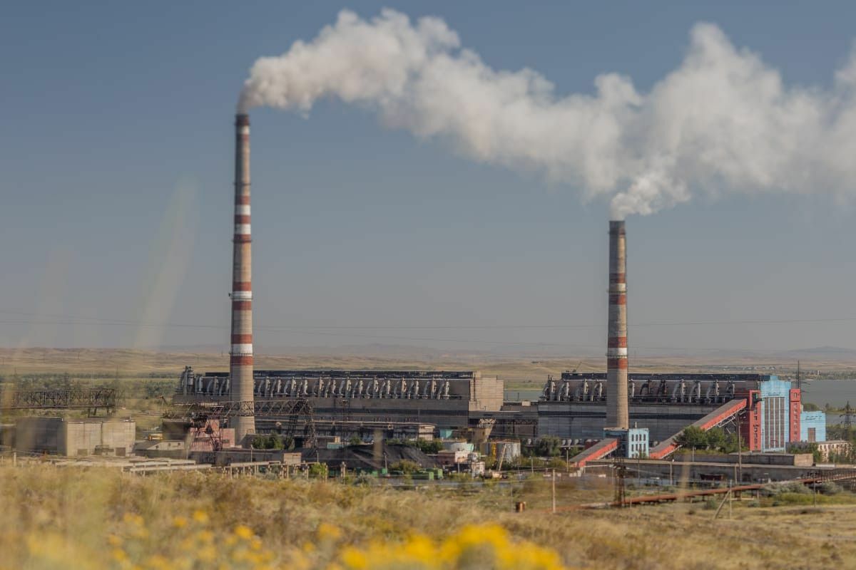 Пустили пыль в глаза