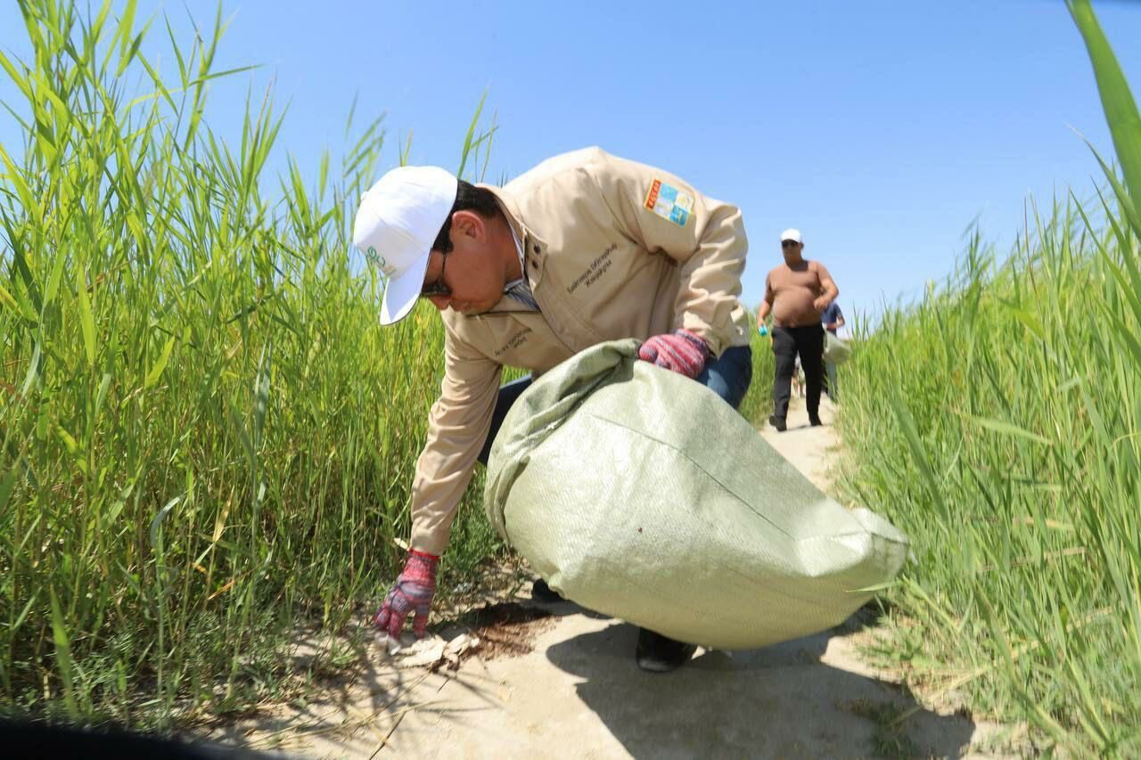 Решили начать с себя