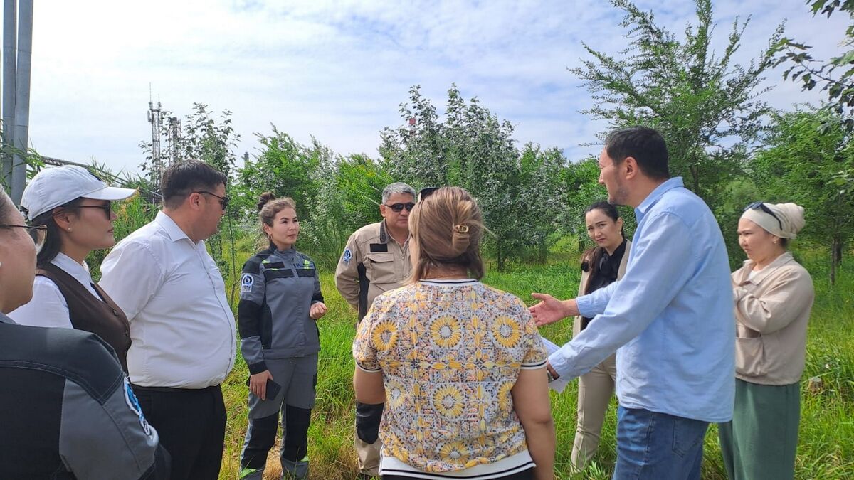 Озеленение.  Зона ответственности