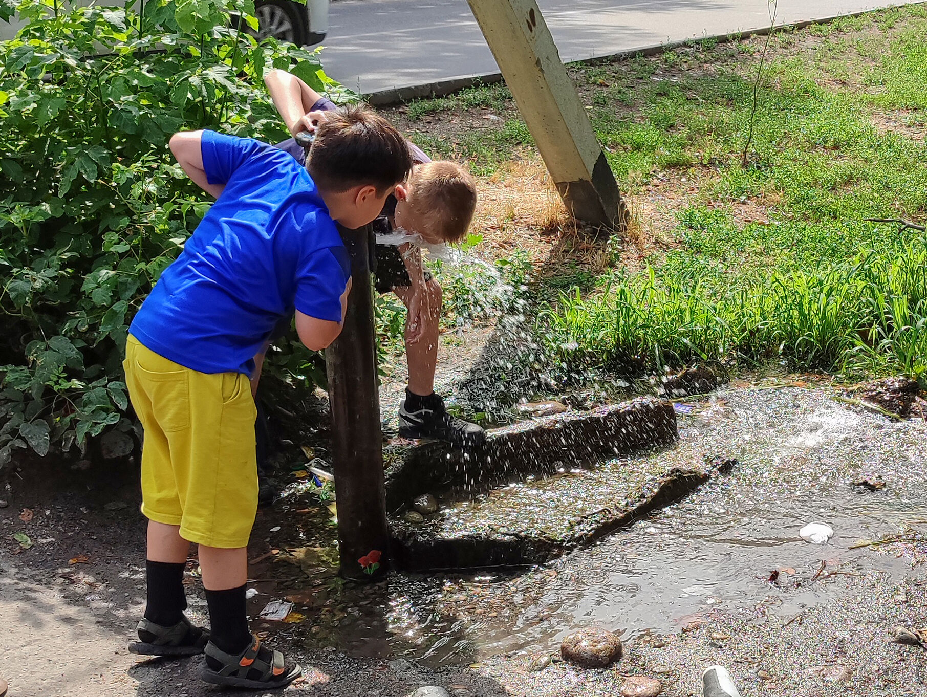 Отстаивать бесполезно?