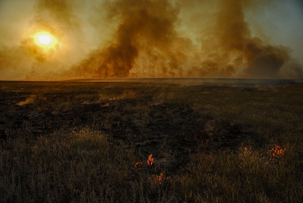 Кто виноват?