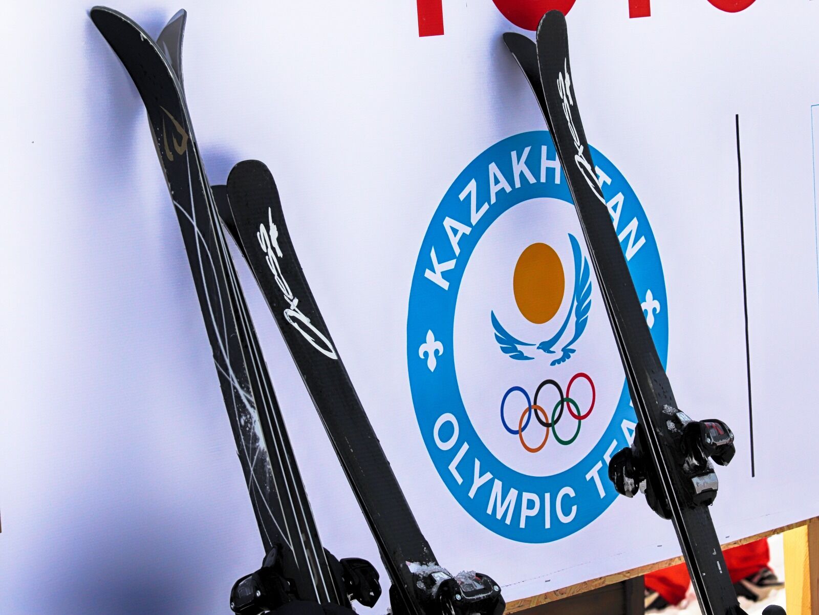 Новые правила для всех видов спорта