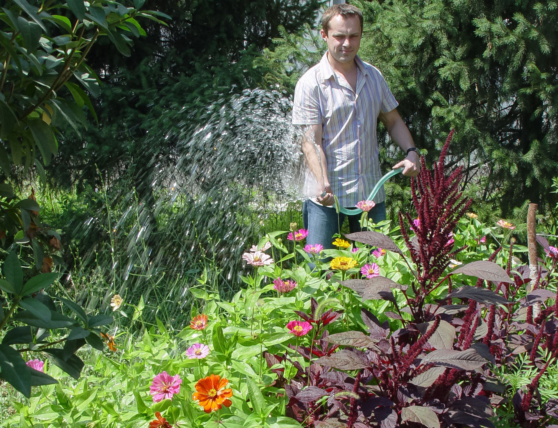 Прикинулся шлангом