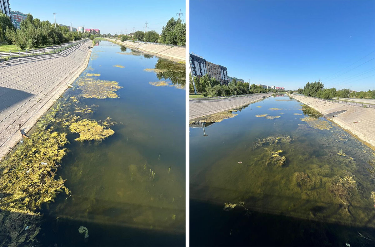 Подрядчик не проплывал?