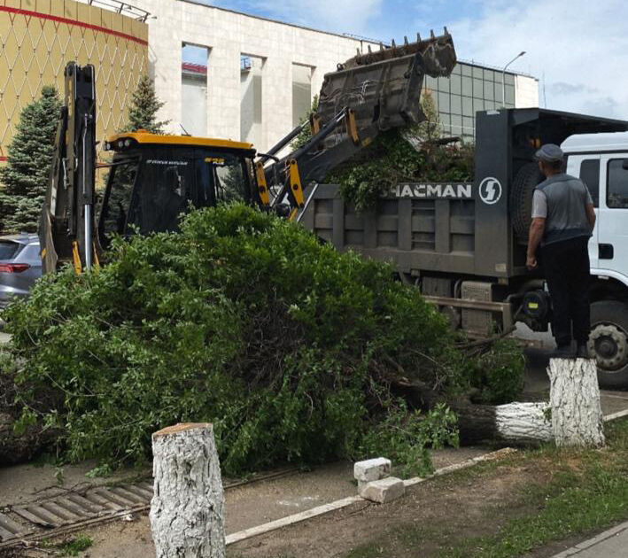 Битва за благополучие