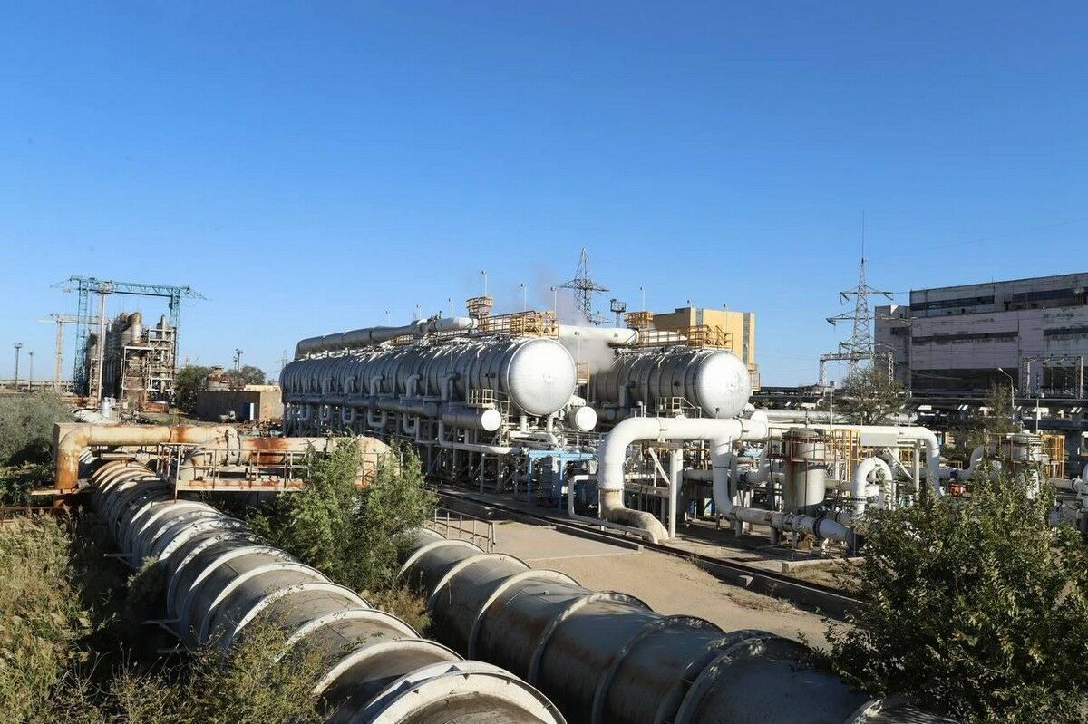 И напоят, и согреют