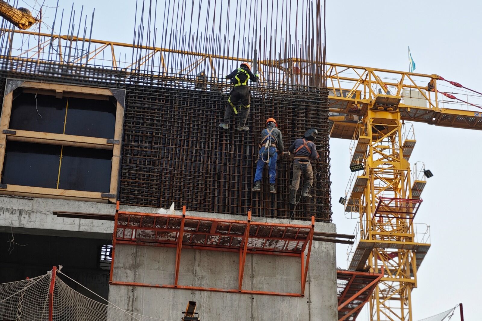 Из офшоров - детям