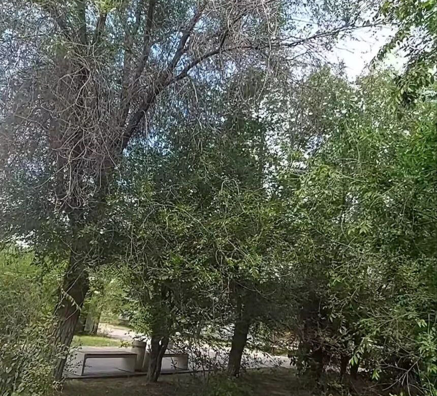 "Барбер" сменился