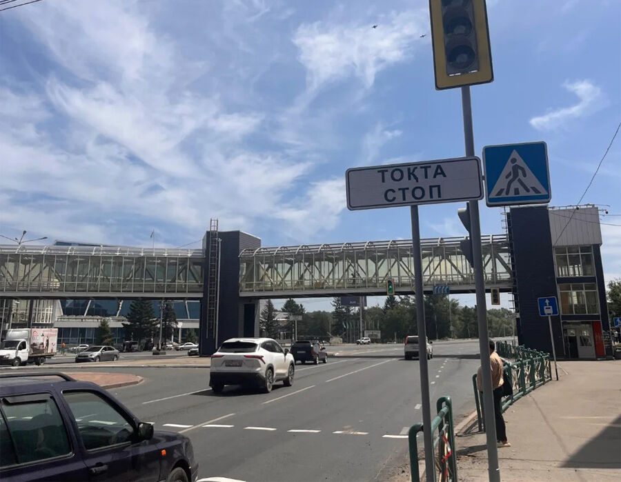 Победила зебра!