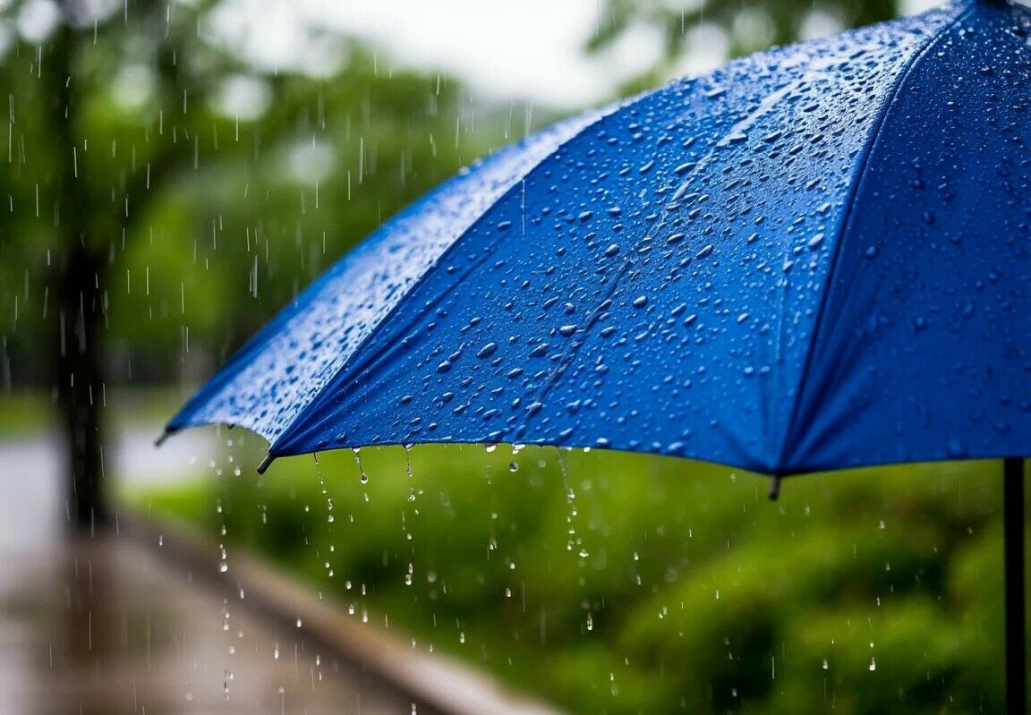 Дожди ожидаются в четверг в большинстве регионов Казахстана
