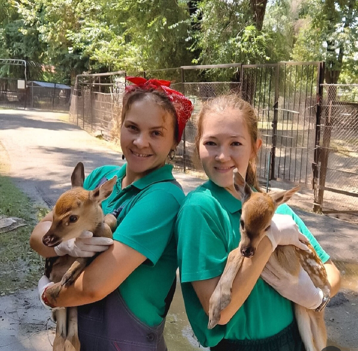 Золотые малыши