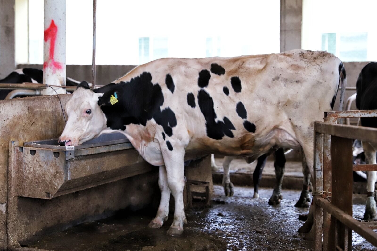 Кто не в поле - тот онлайн