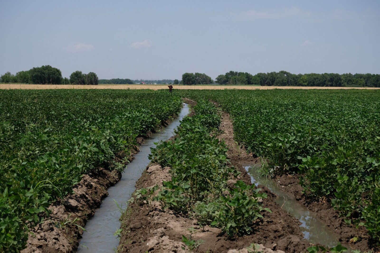 В этом деле главное - качать