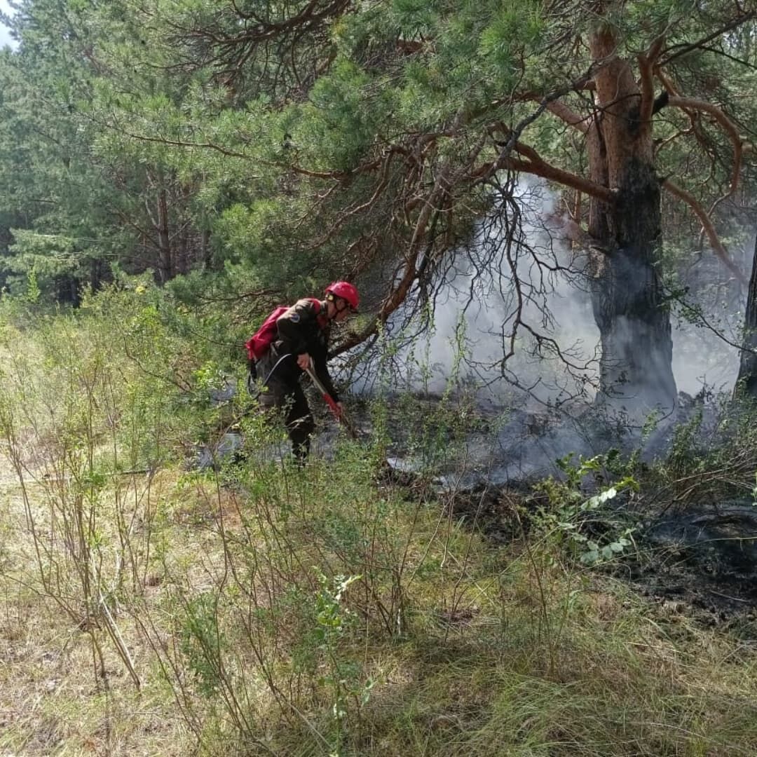 Виновата природа