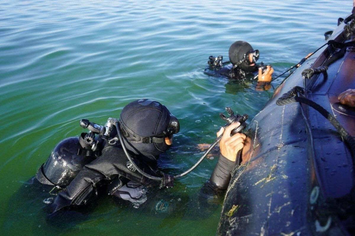 Есть надежда на объективное расследование?..