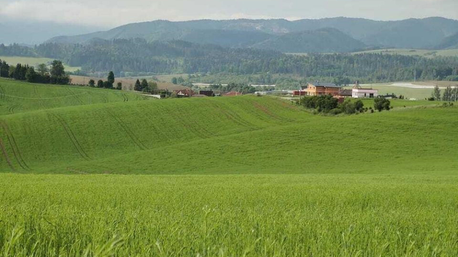 Полезные гектары