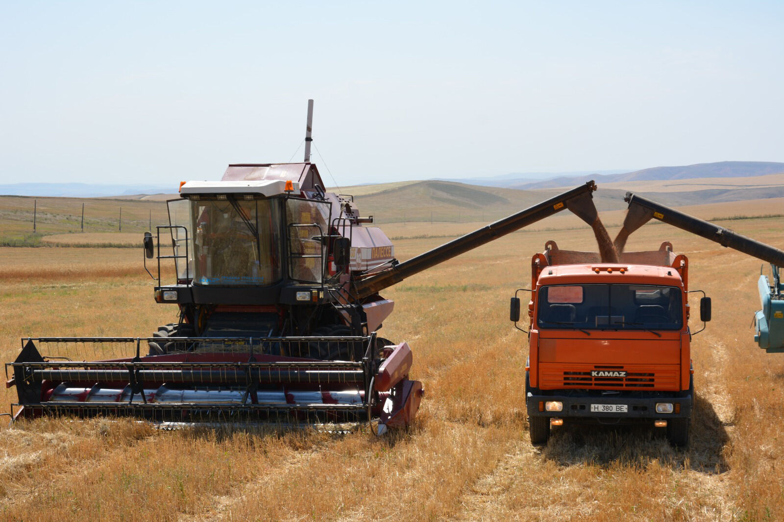 От сбора урожая до экспорта