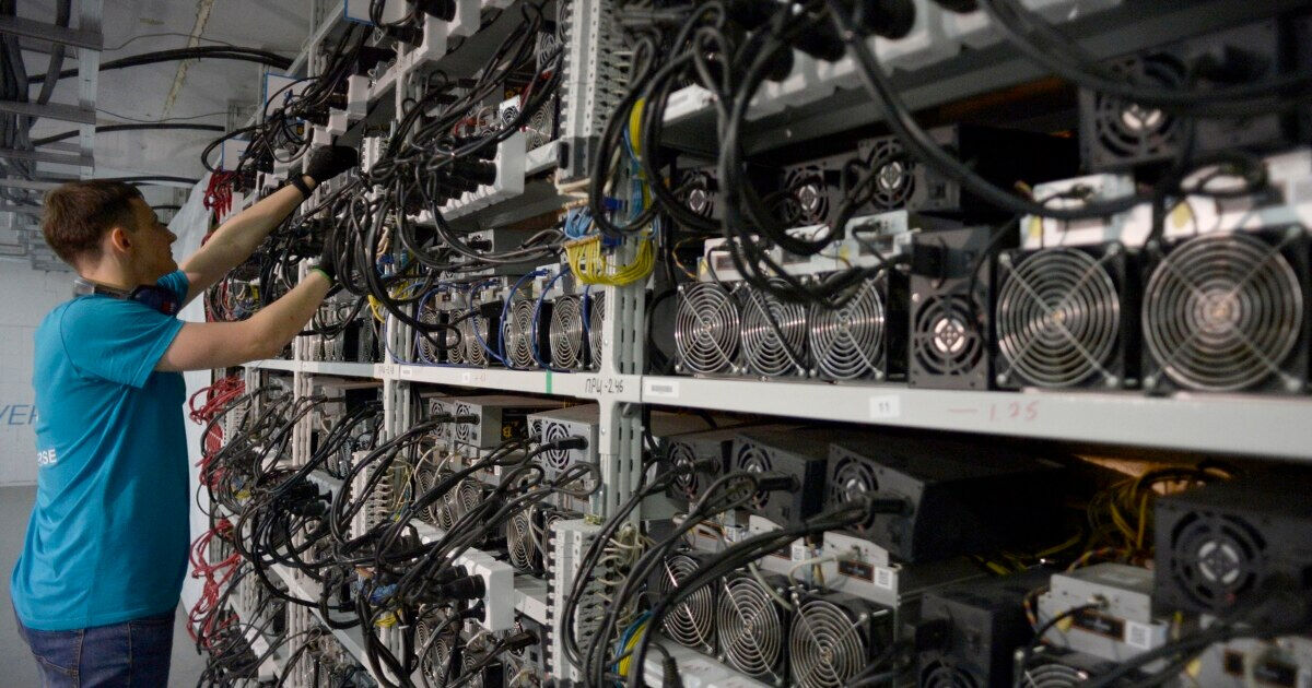 Засветились