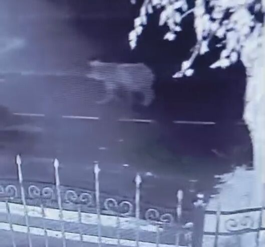 Вдруг в "засаде" сидит?