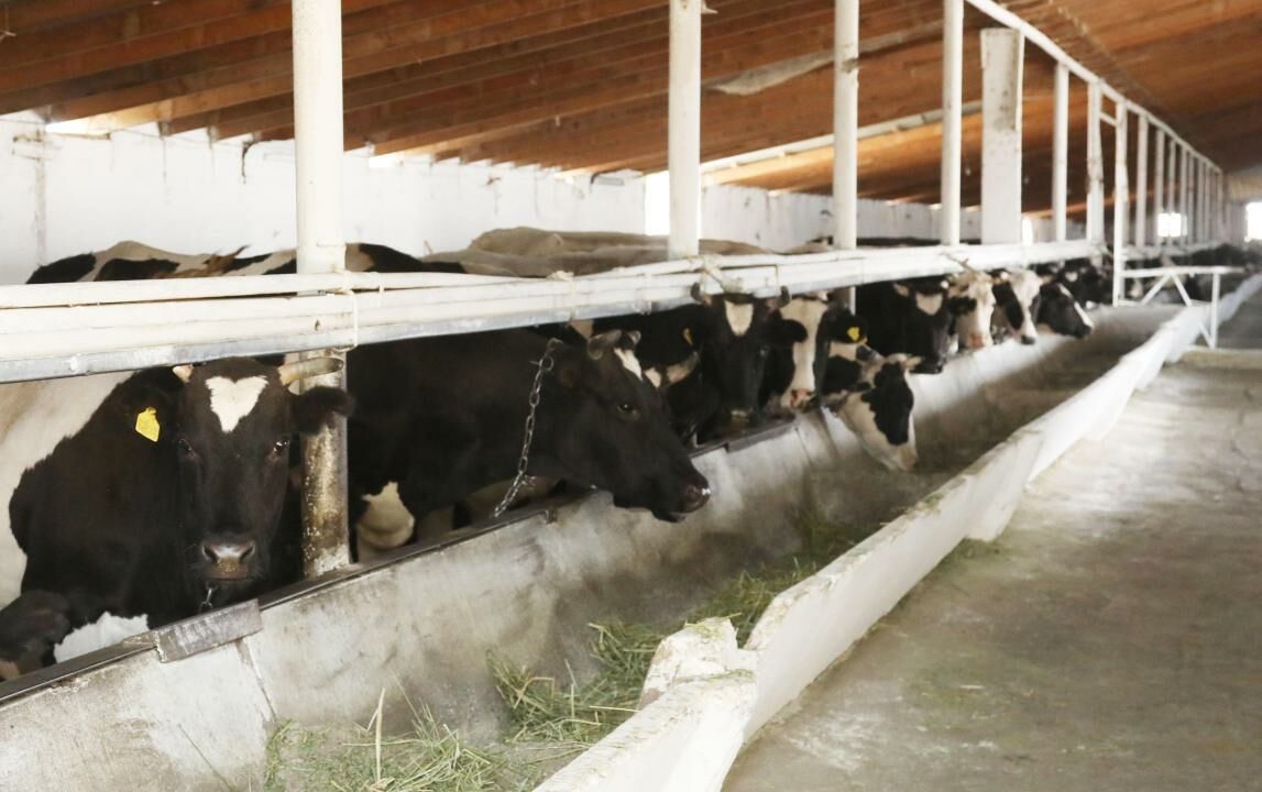 Миллиарды - в село