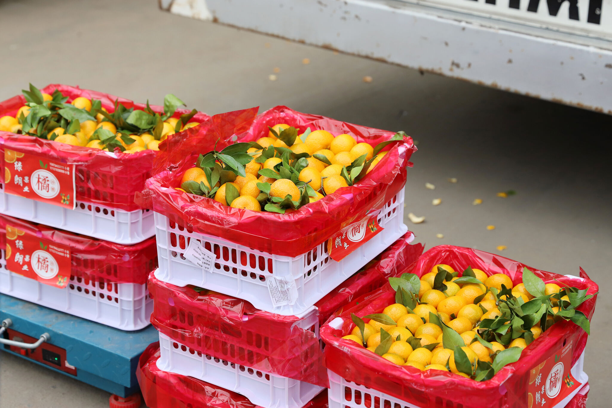 Рынок ЕАЭС: поймай меня, если сможешь!