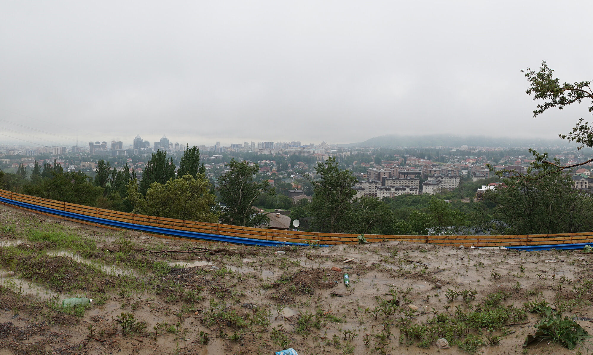 Пора уже сажать по-новому