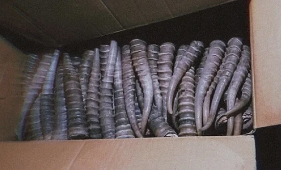 Откуда и куда?