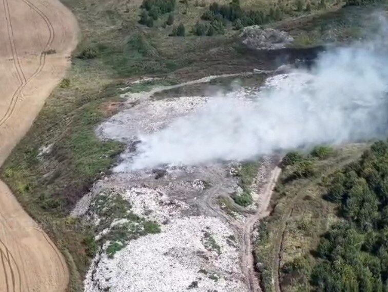 Не водой, так пульпой