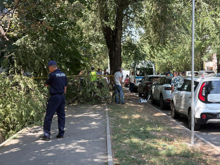 Не в том месте и не в то время…