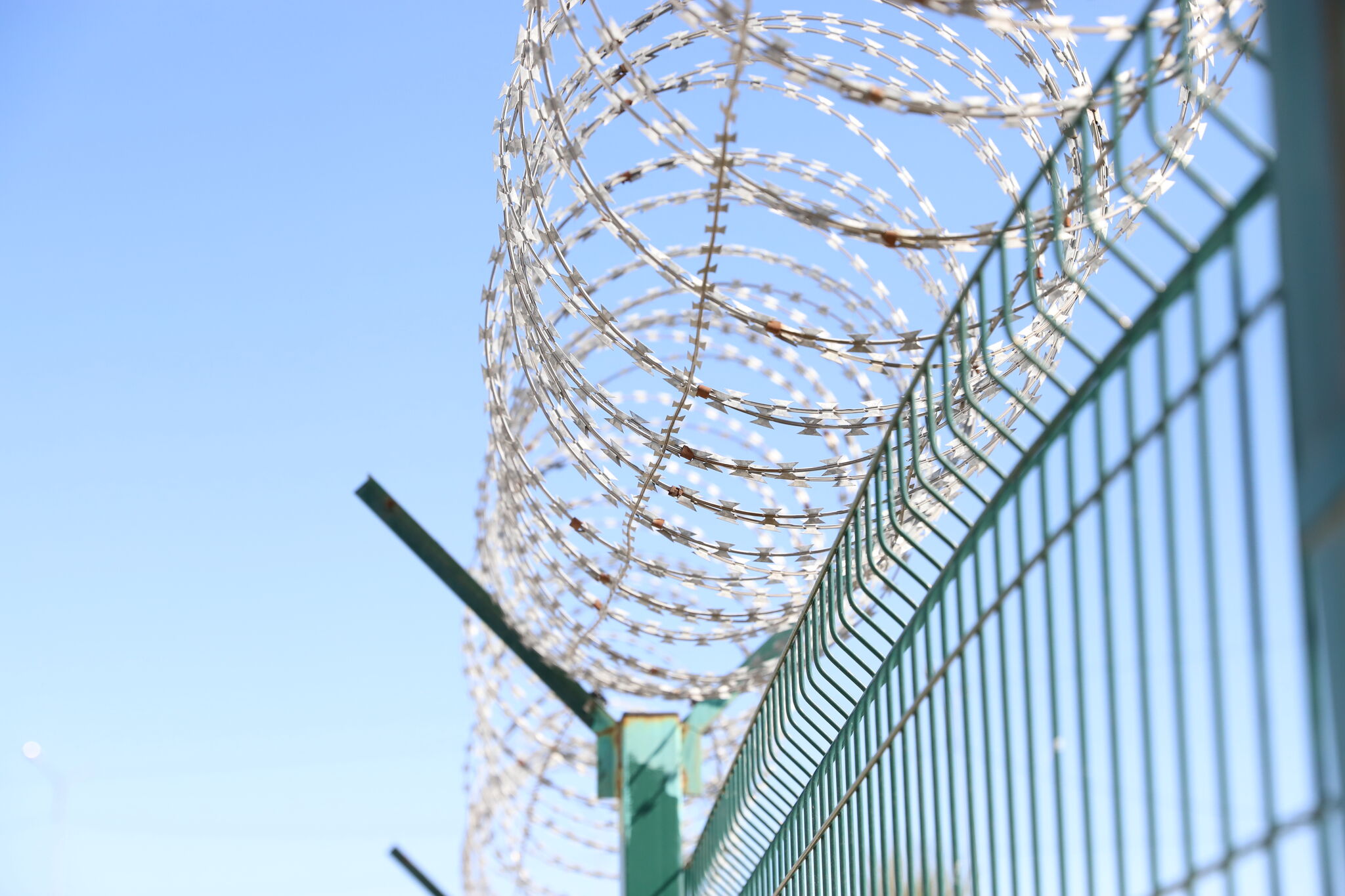 Кровавое утро