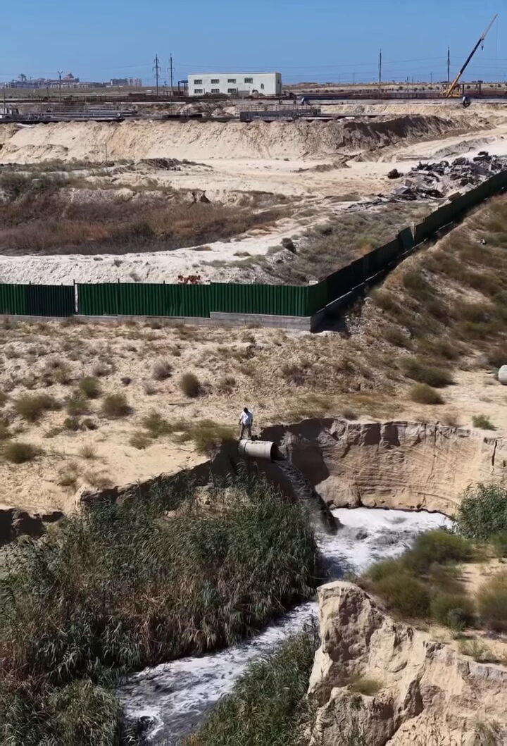 Химическая блокада