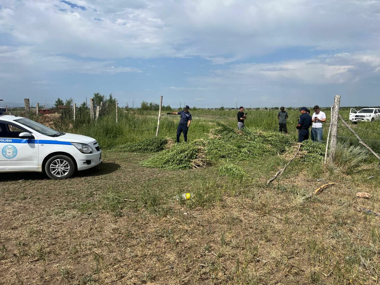 Целая спецоперация