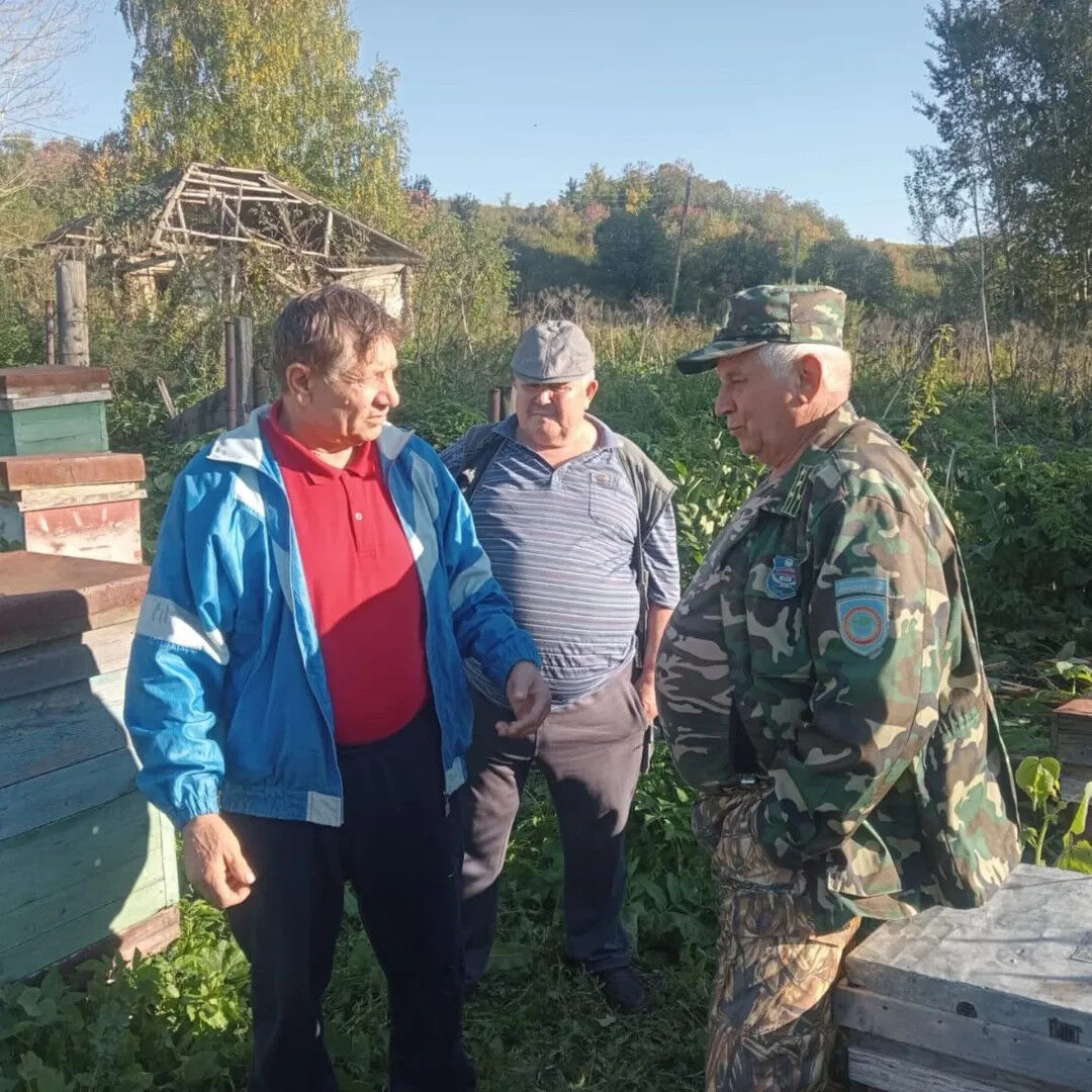 Медвежий угол