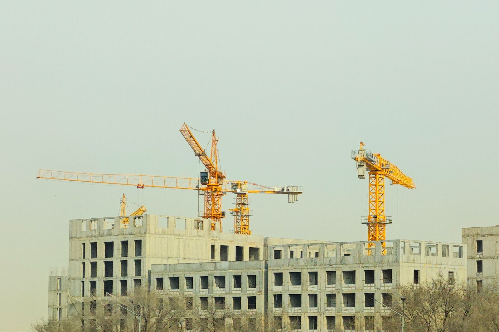 Дольщики под защитой