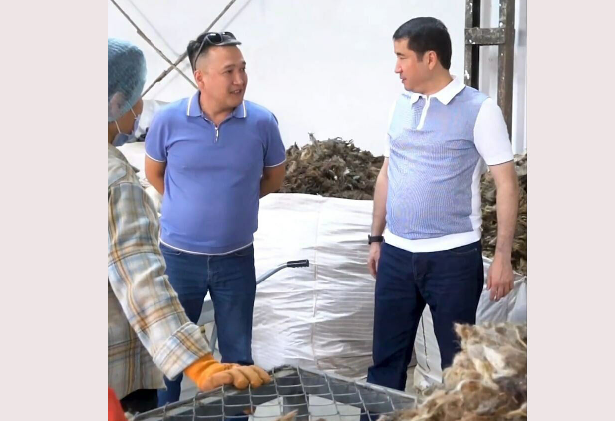 До последней шерстинки