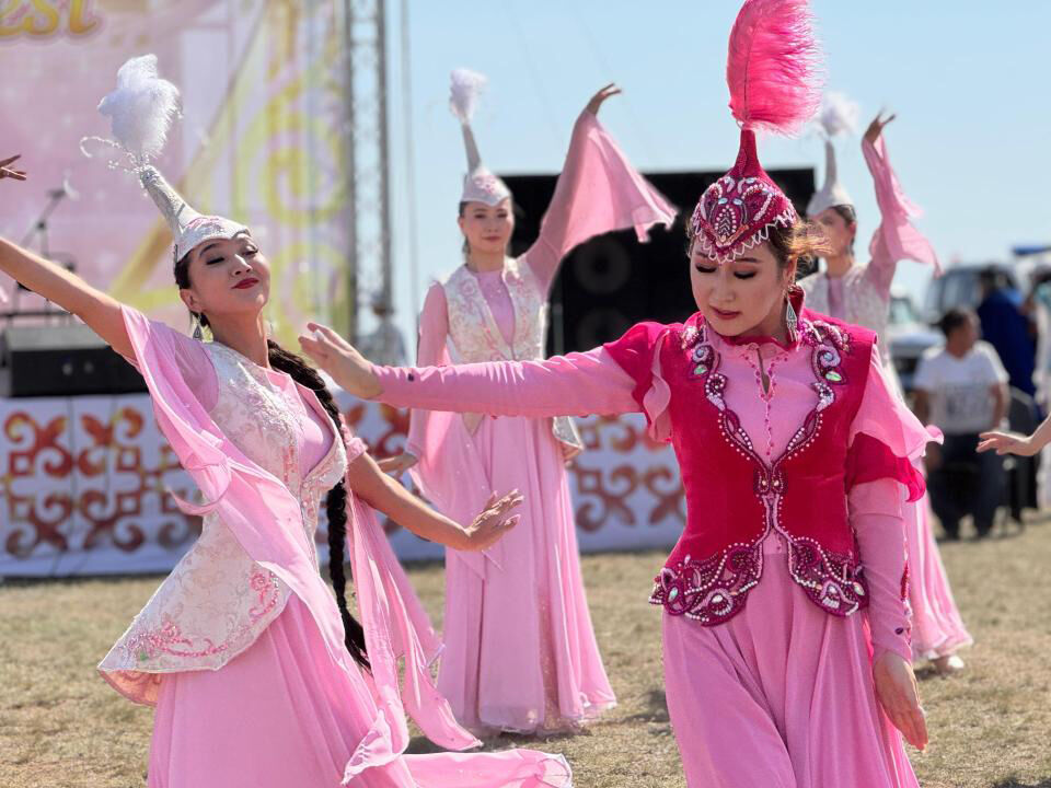 Фламинго из Коргалжына