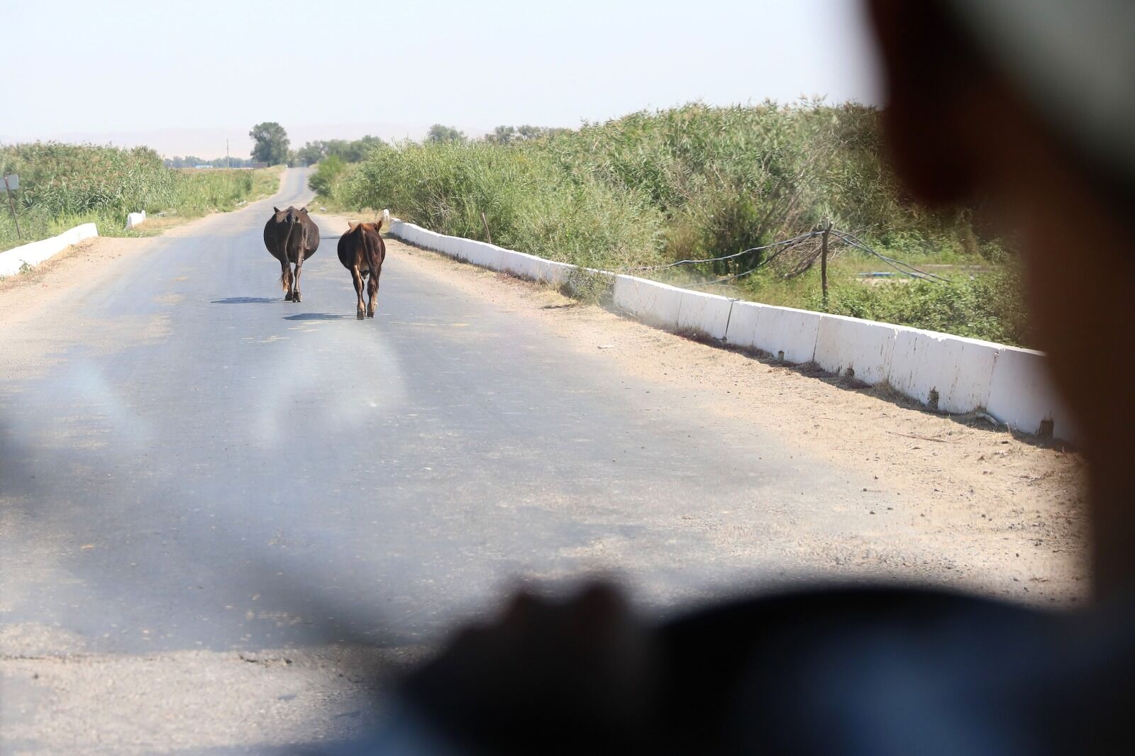 Обоюдные претензии