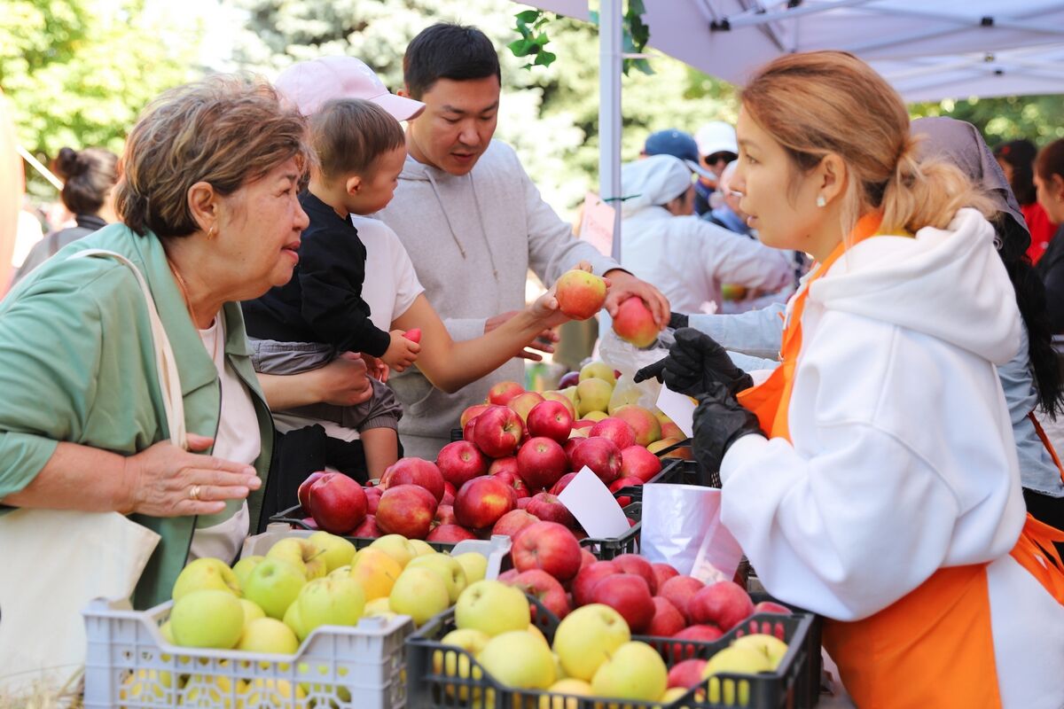 Искушение апортом – Фото №1