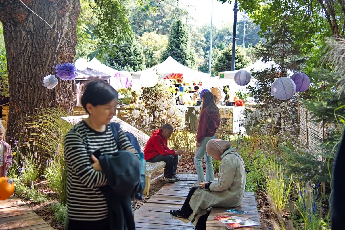 Время гортензий прошло – Фото №1