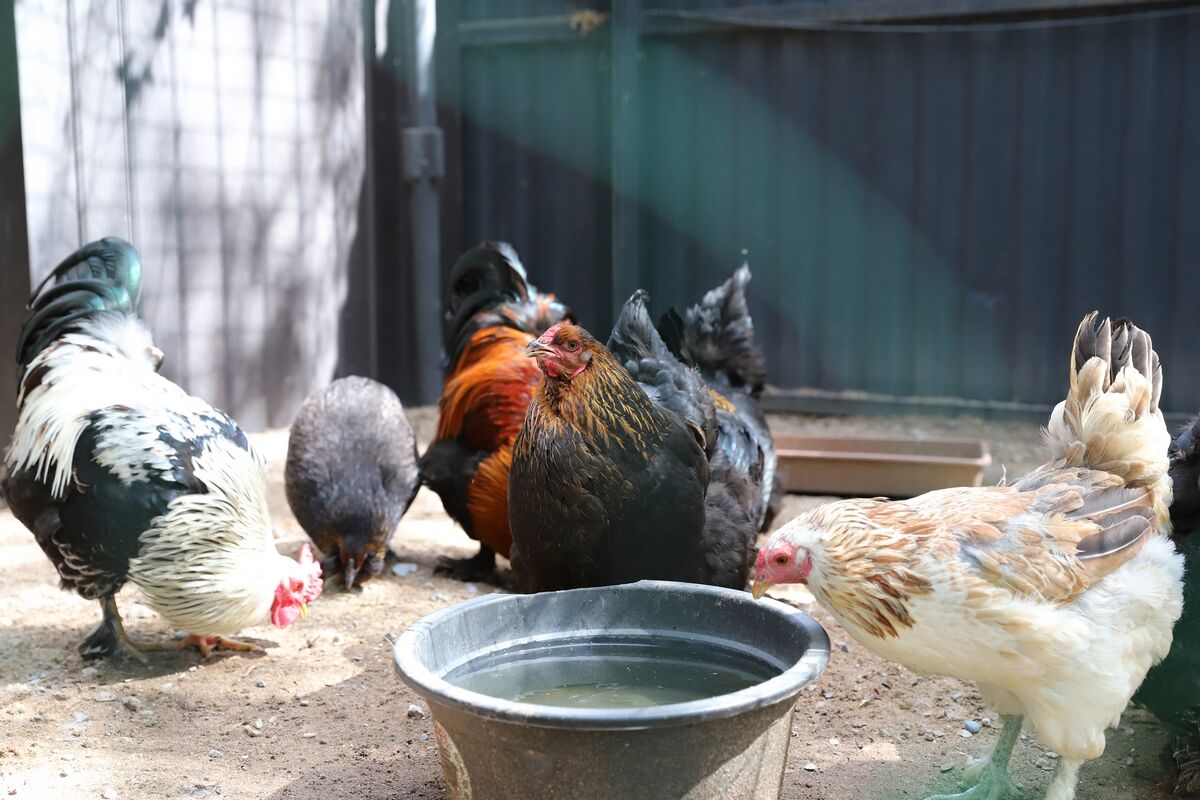 Одно за другое цепляется