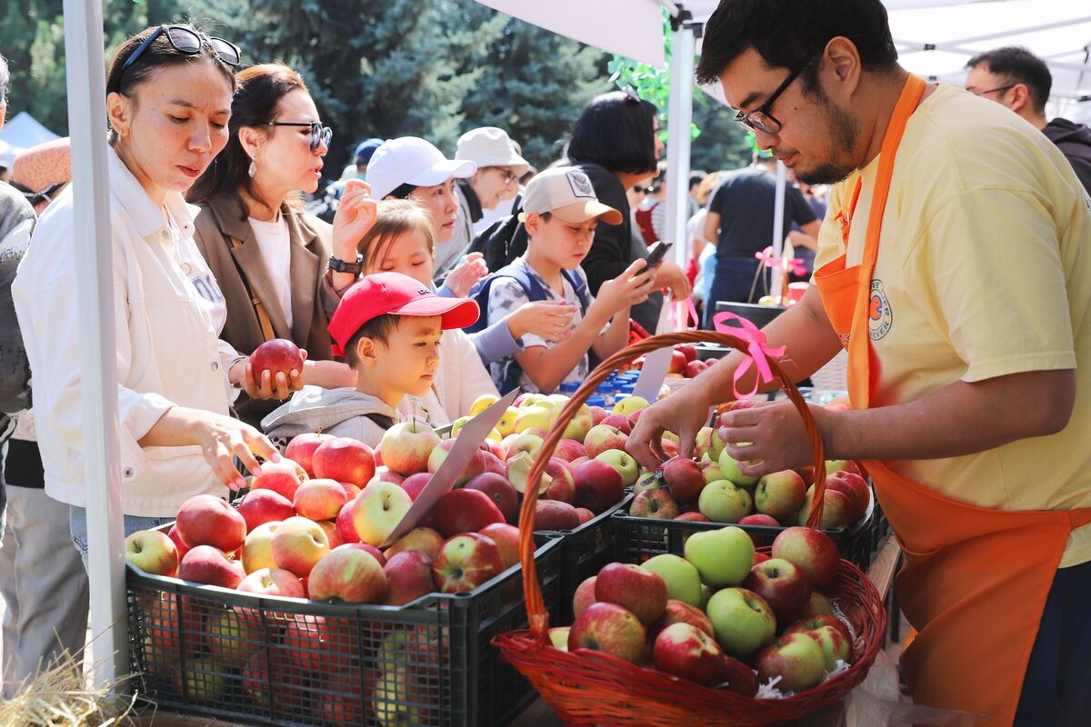 Искушение апортом – Фото №7